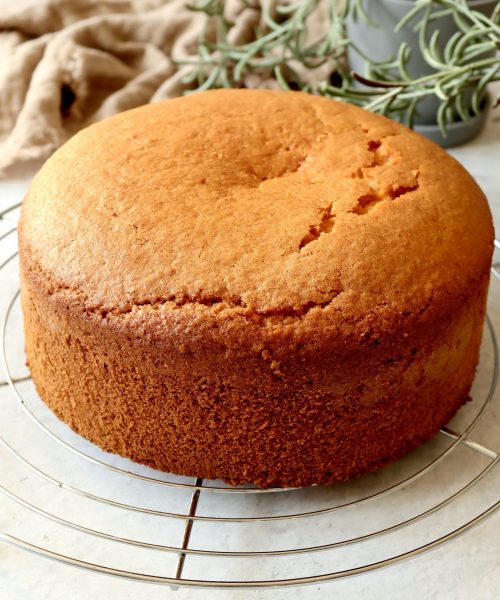 Kokos-Biskuitboden locker gebacken auf einem Kuchengitter